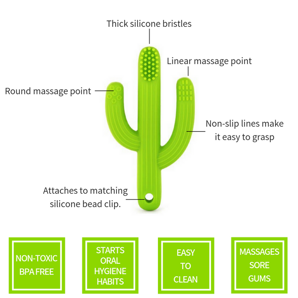 Cactus 2 in 1 Teether Toothbrush (Green)