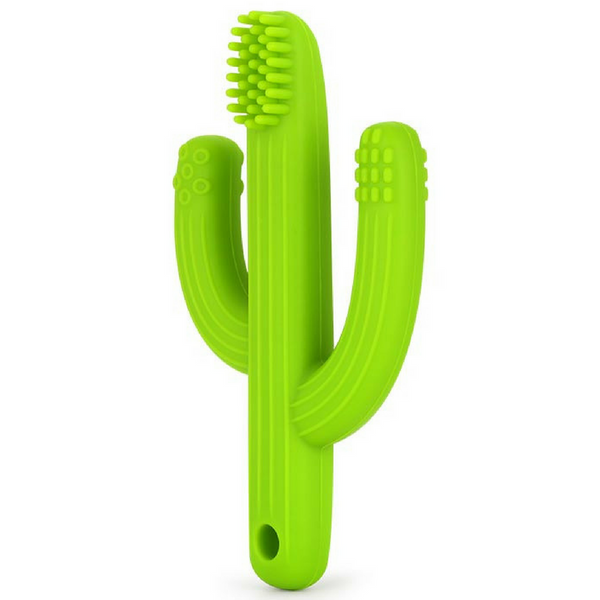 Cactus 2 in 1 Teether Toothbrush (Green)